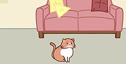 藏猫猫大作战第3关攻略  藏猫猫大作战攻略3关