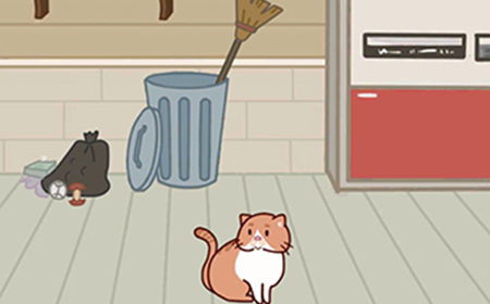 藏猫猫大作战第13关攻略  藏猫猫大作战攻略13关