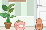 藏猫猫大作战第7关攻略  藏猫猫大作战攻略7关