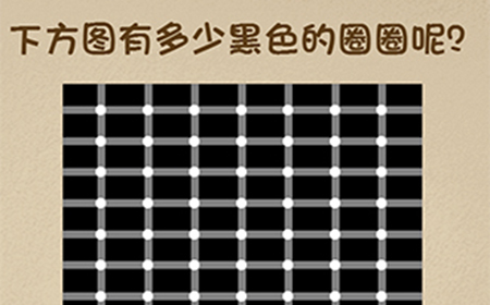最强的大脑第83关攻略  下方图有多少黑色的圈圈呢